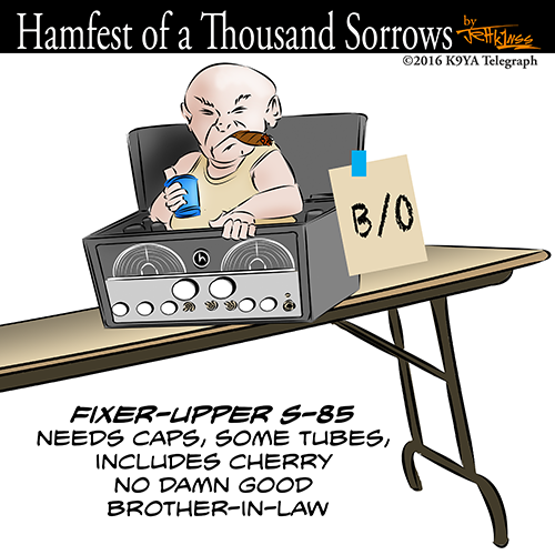 Bro In Law S-85 cartoon